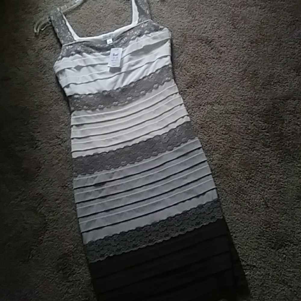 Caches bodycon with lace nwt size 4